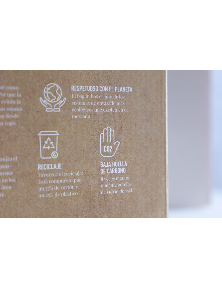 Bag In Box Cabernet Monastrell 5 Litros