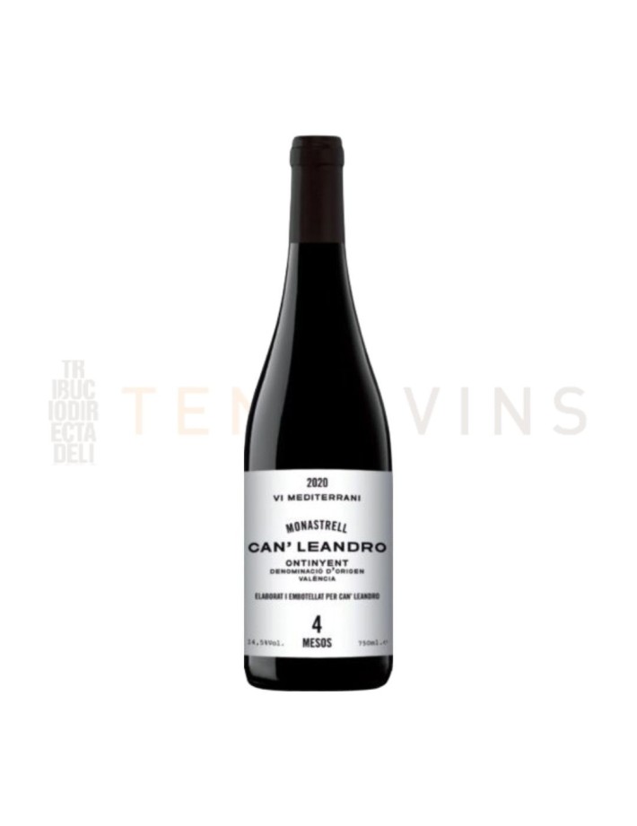 Vino Valencia Can Leandro 4 meses 2021