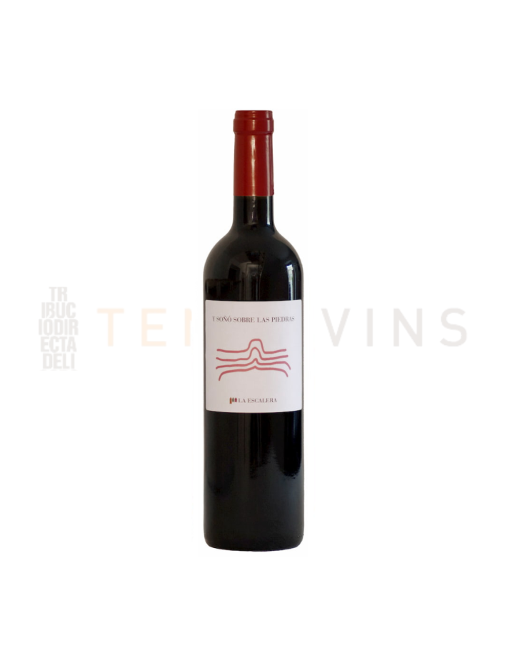 Y soñó sobre las piedras 2017 Y soñó sobre las piedras 2017