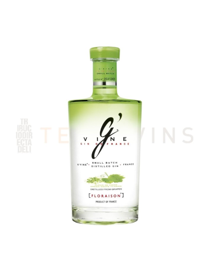Gin G'Vine  Florasión
