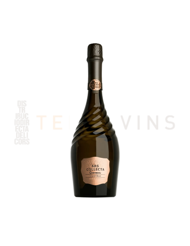 Ars Collecta Grand Rosé Codorniu