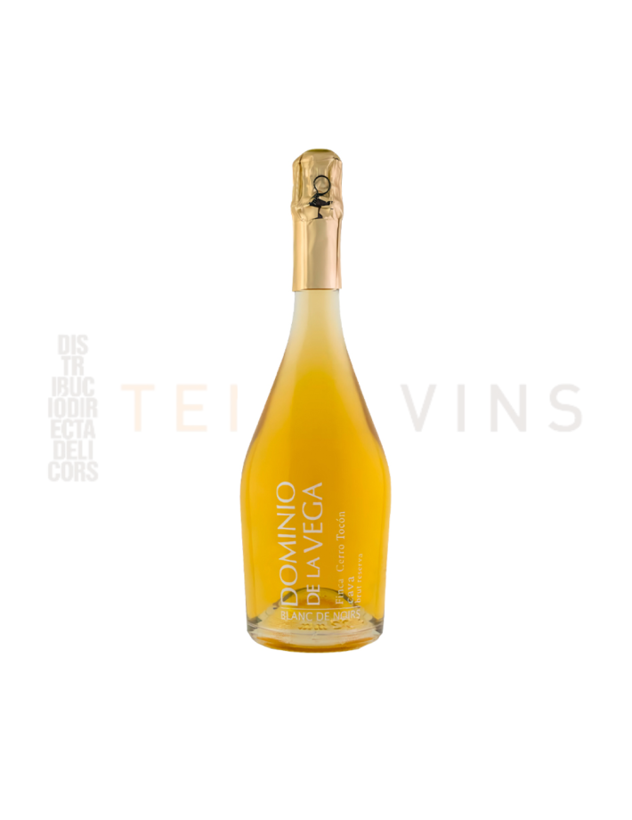 Cava Dominio de la Vega Cerro Tocón Cava Dominio de la Vega Cerro Tocón