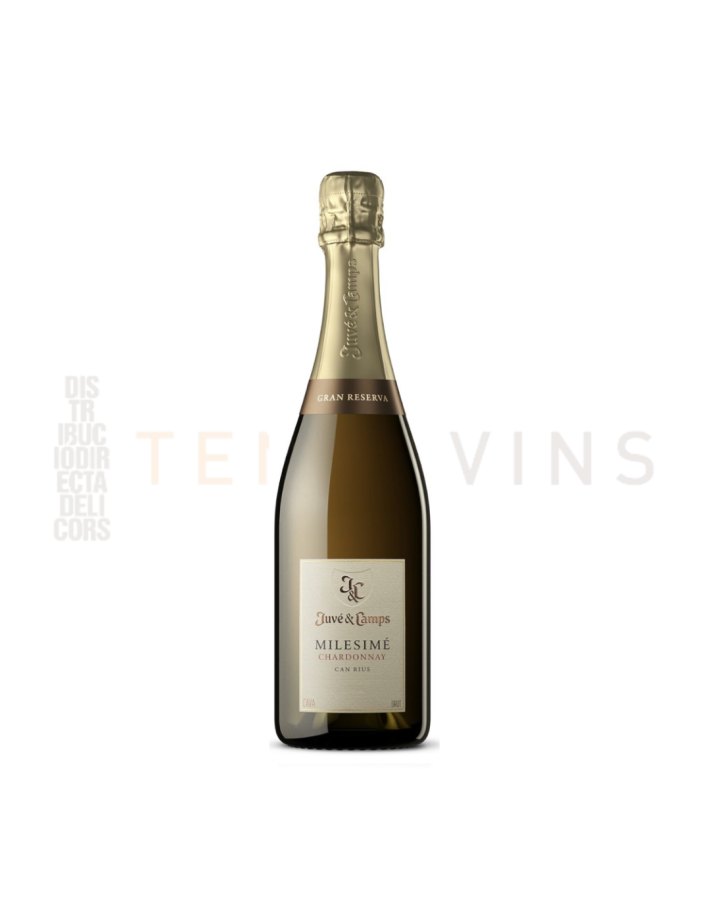 Juve & Camps Milesimé Chardonnay gran reserva