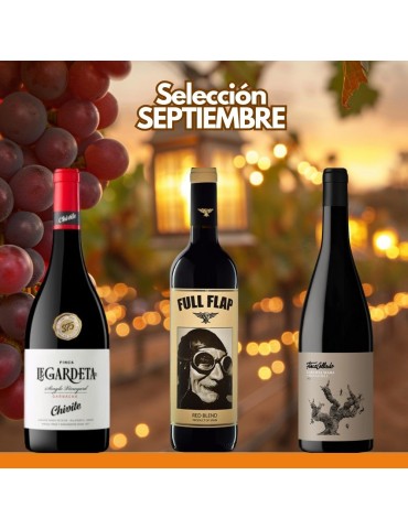 Selección Septiembre 2024 - 3 botellas