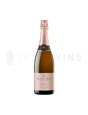 Raventos i Blanc De Nit 2022