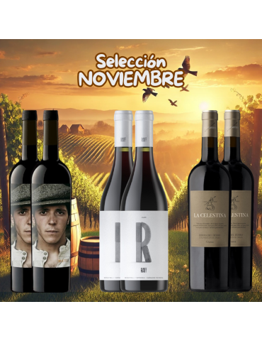 Selección Noviembre 2024 - 6 botellas