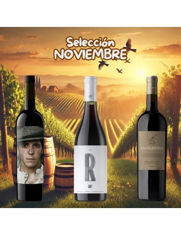 Selección Noviembre 2024 - 3 botellas