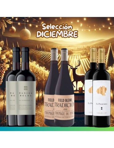 Selección Diciembre 2024 - 6 botellas