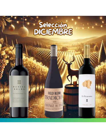 Selección Diciembre 2024 - 3 botellas