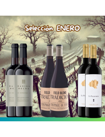 Selección Enero 2025 - 6 botellas