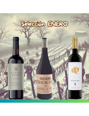 Selección Enero 2025 - 3 botellas