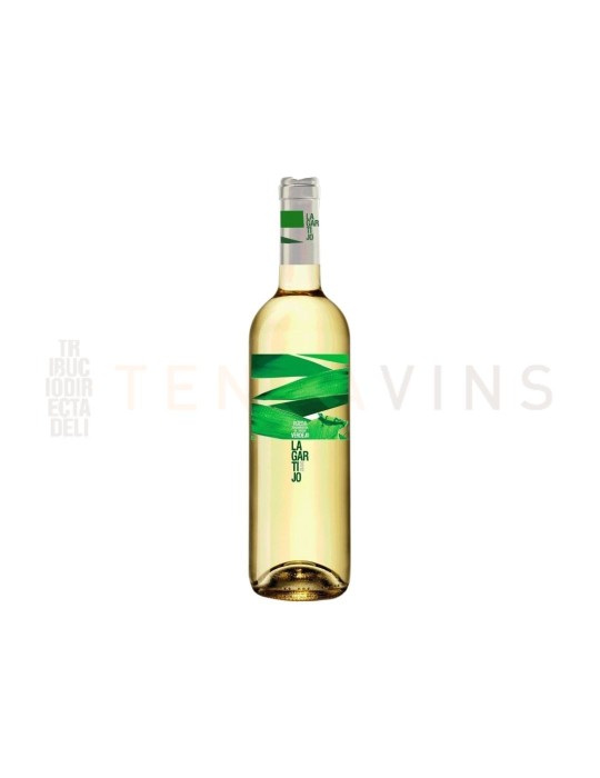 Vino Rueda Lagartijo Verdejo 2023