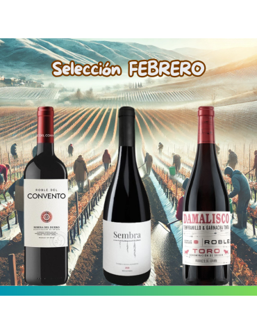 Selección Febrero 2025 - 3 botellas