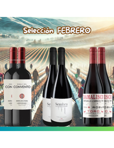 Selección Febrero 2025 - 6 botellas