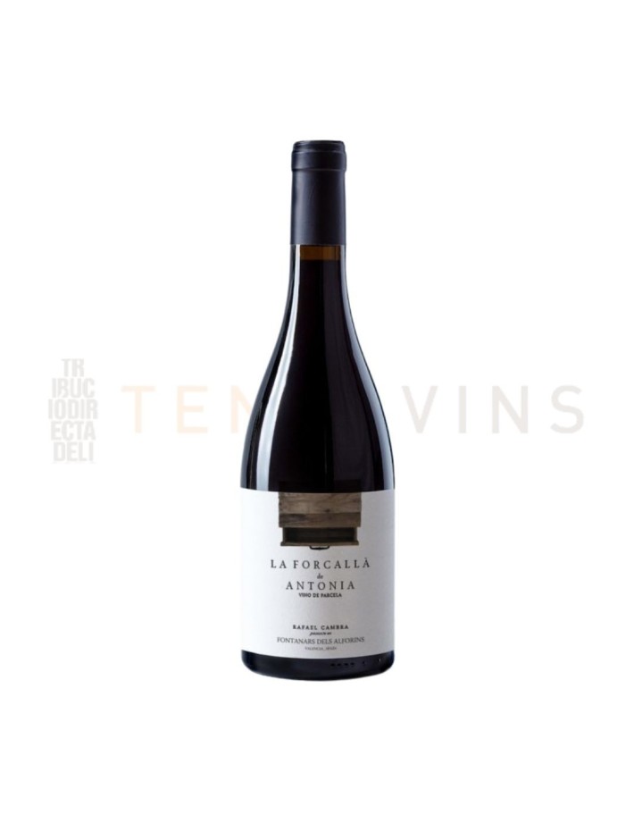 Vino Valencia La Forcallá de Antonia 2022 Vino Valencia La Forcallá de Antonia 2022
