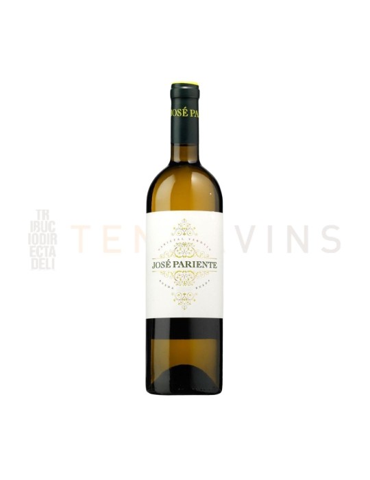 Vino Rueda Jose Pariente Verdejo 2023