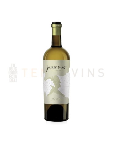 Javier Sanz Verdejo 2024