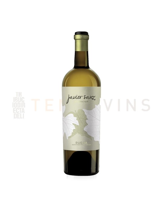Javier Sanz Verdejo 2021