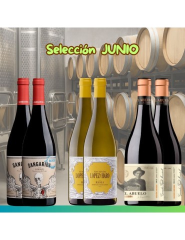 Selección Junio 2025 - 6 botellas