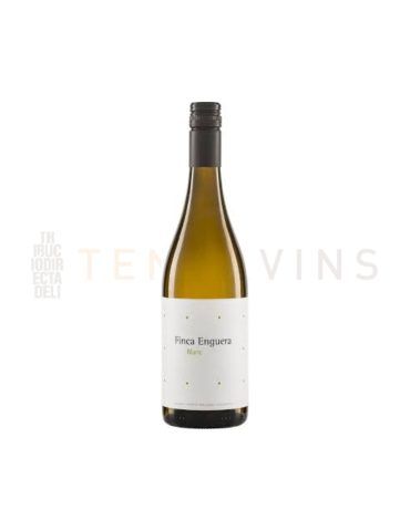 Finca Enguera Blanc 2024
