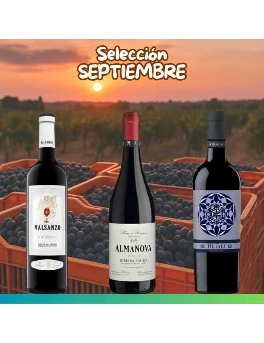 Selección Septiembre 2025 - 3 botellas