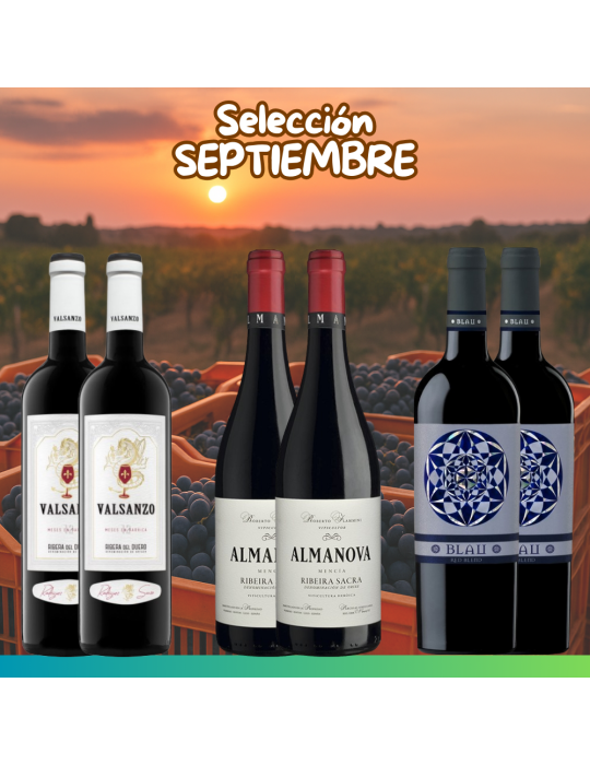 Selección Septiembre 2025 - 6 botellas