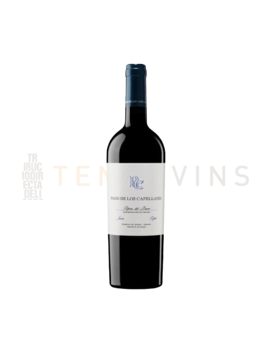 Pago de Capellanes Roble 2024