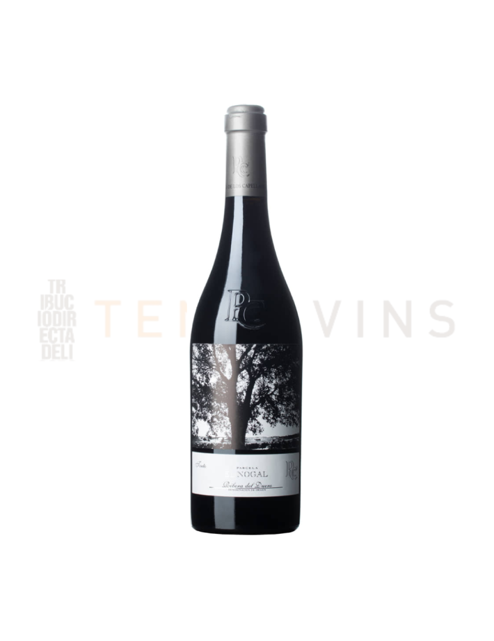 El Nogal - Pago de los Capellanes 2018