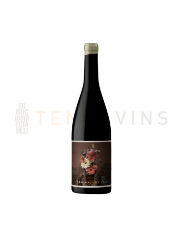 Flor Malves Finca Collado 2023