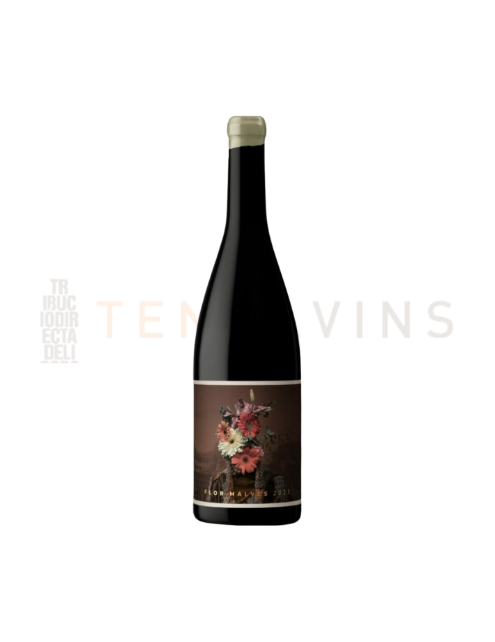 Flor Malves Finca Collado 2023
