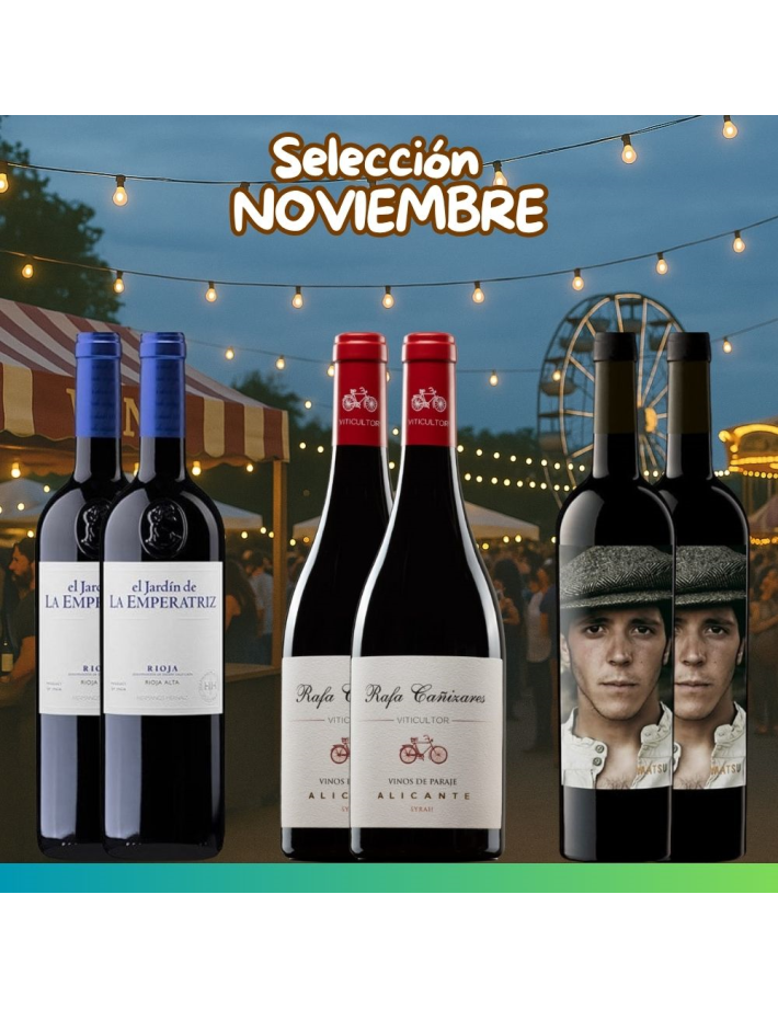 Selección Noviembre 2025 - 6 botellas