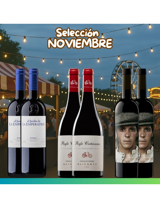 Selección Noviembre 2025 - 6 botellas