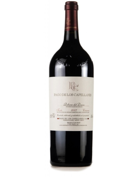 Pago de Caspellanes crianza magnum