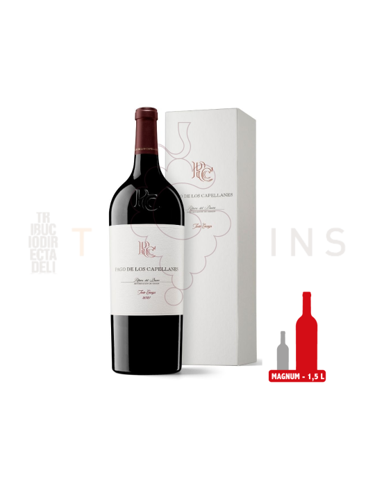 Pago de Capellanes crianza mágnum 2022
