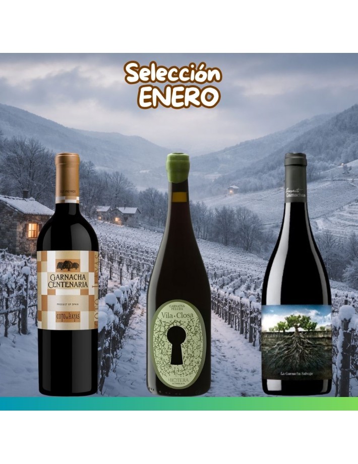 Selección Enero 2026 - 3 botellas