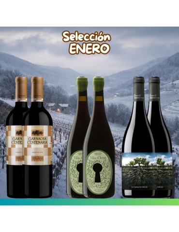 Selección Enero 2026 - 6 botellas