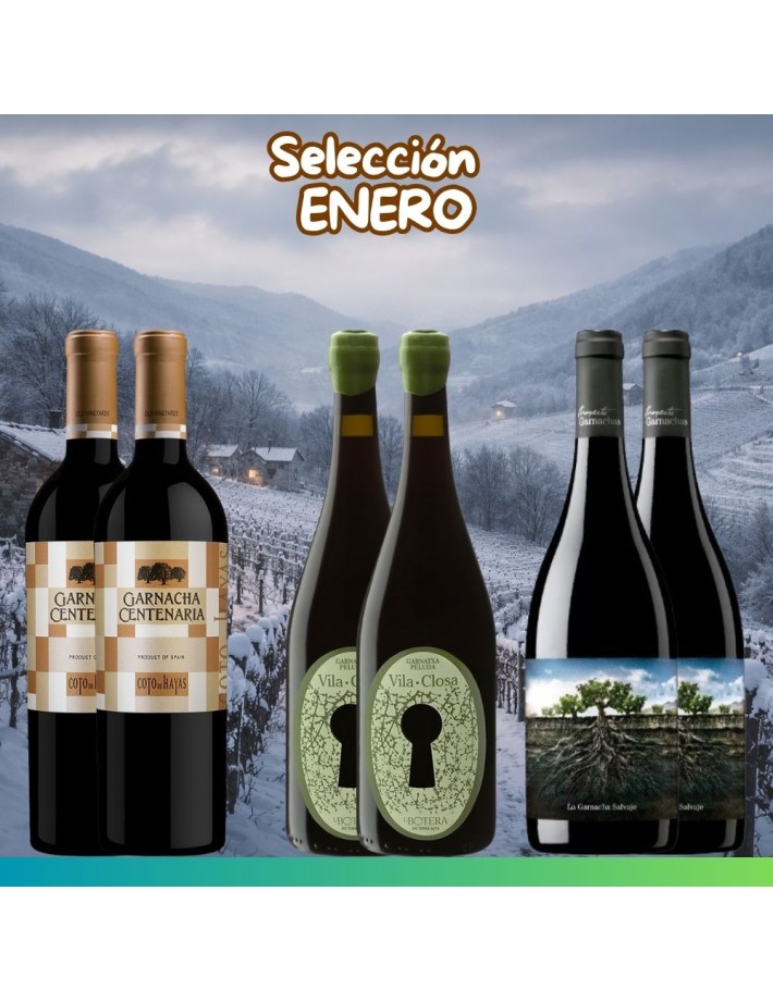 Selección Enero 2026 - 6 botellas