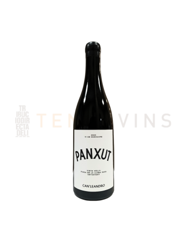 Panxut de Can Leandro 2023