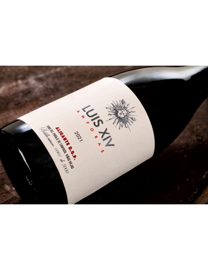 Luis XIV Ánforas 2021