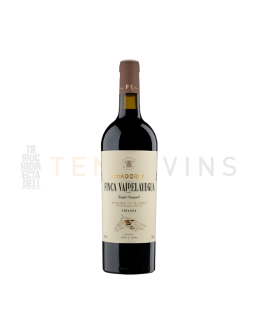 Pradorey Valdelayegua 2022