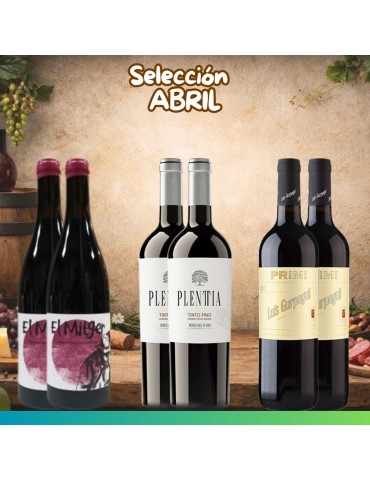 Selección Abril 2026 - 6 botellas
