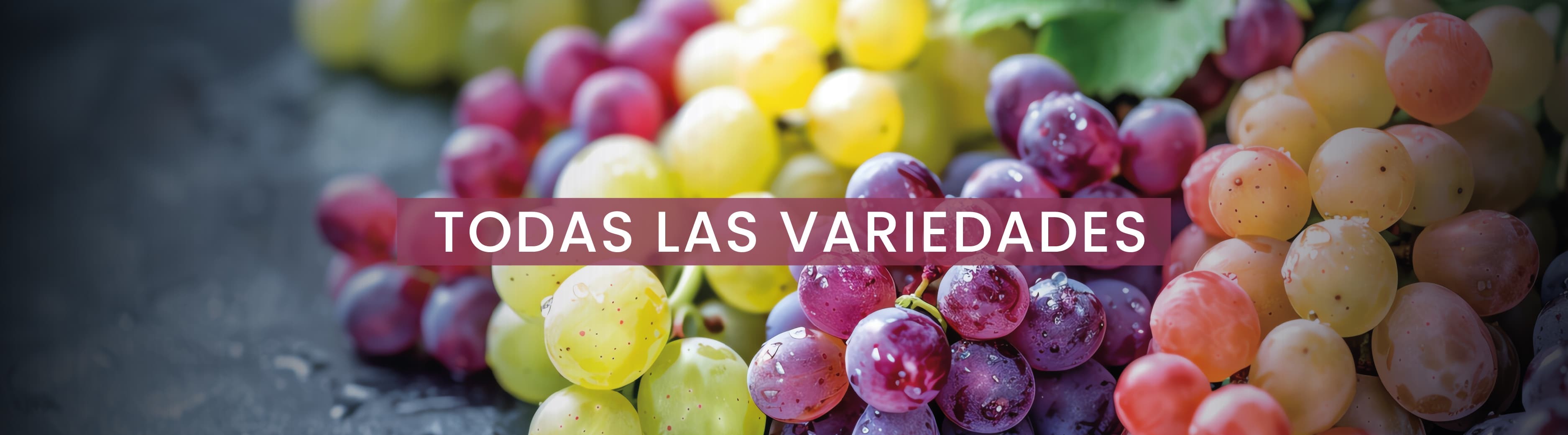 Variedad de uva