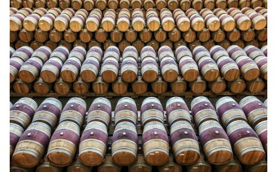 Los mejores vinos Rioja calidad-precio para disfrutar sin gastar de más