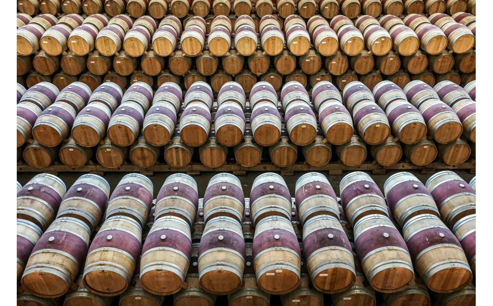 Los mejores vinos Rioja calidad-precio para disfrutar sin gastar de más