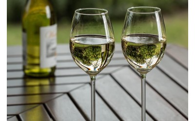 Diferencia entre Albariño y Verdejo: dos vinos blancos con personalidad propia