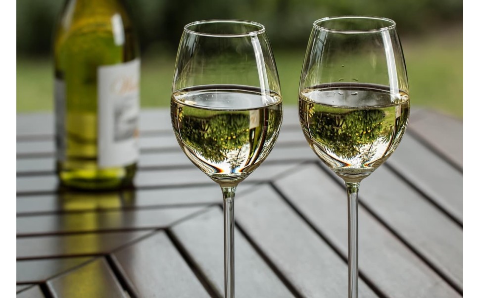 Diferencia entre Albariño y Verdejo: dos vinos blancos con personalidad propia