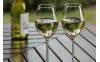 Diferencia entre Albariño y Verdejo: dos vinos blancos con personalidad propia