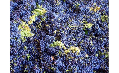 Qué son las lías del vino y por qué aportan tanto sabor y cuerpo