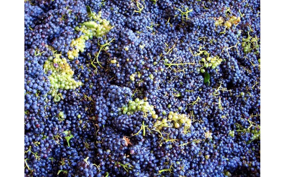 Qué son las lías del vino y por qué aportan tanto sabor y cuerpo