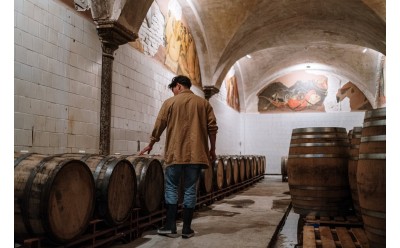 Mejores vinos de Valencia: bodegas imprescindibles y referencias destacadas